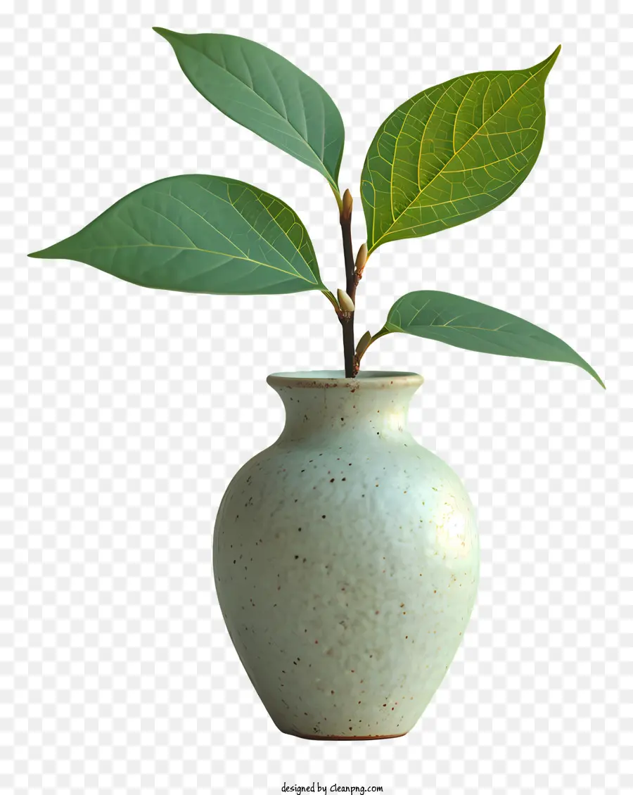 Ваза，Небольшая керамическая ваза PNG
