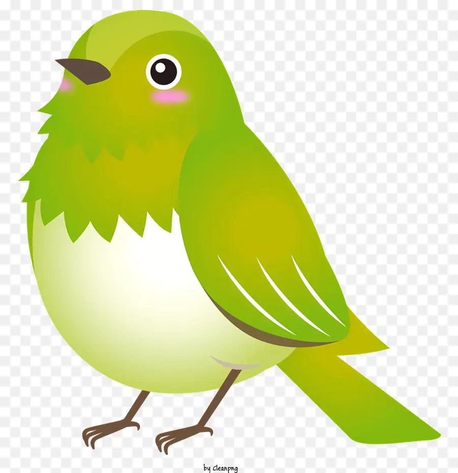 зеленая птица，белое лицо PNG