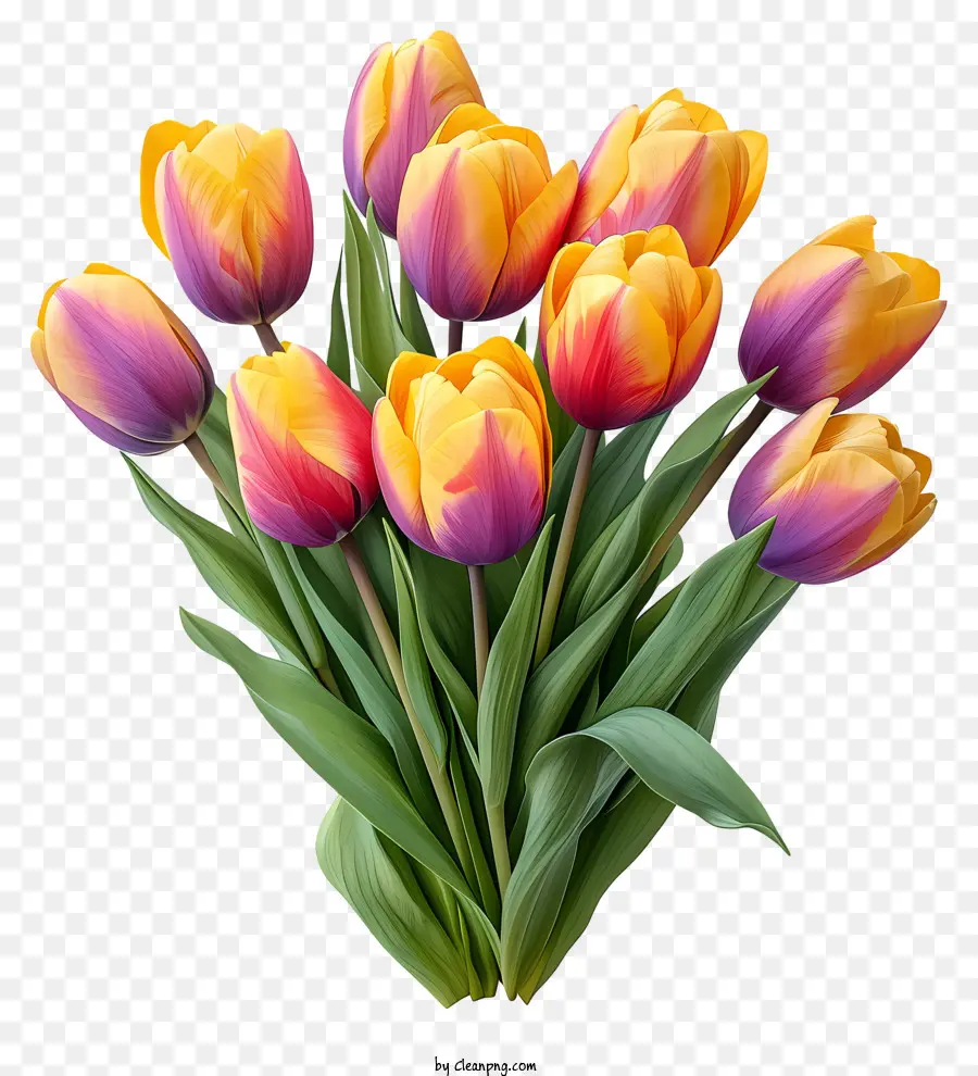 Акварельный букет тюльпанов，тюльпаны PNG