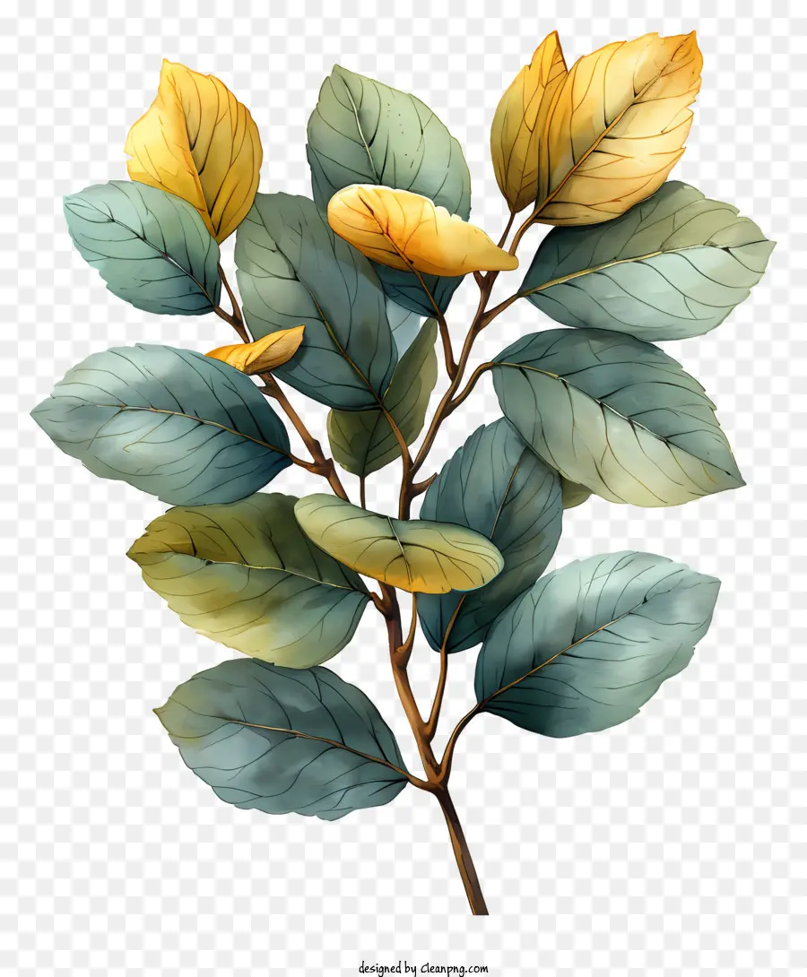 зеленые листья，живопись PNG