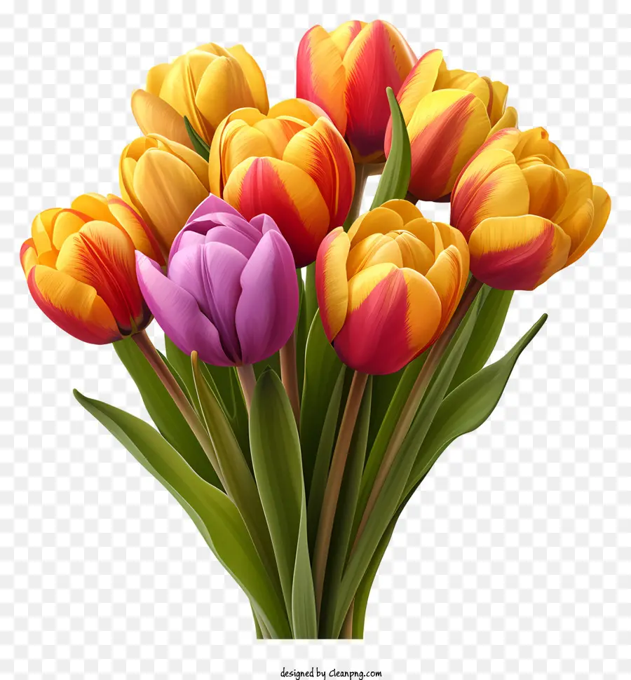 разноцветный букет Tulips，тюльпаны PNG