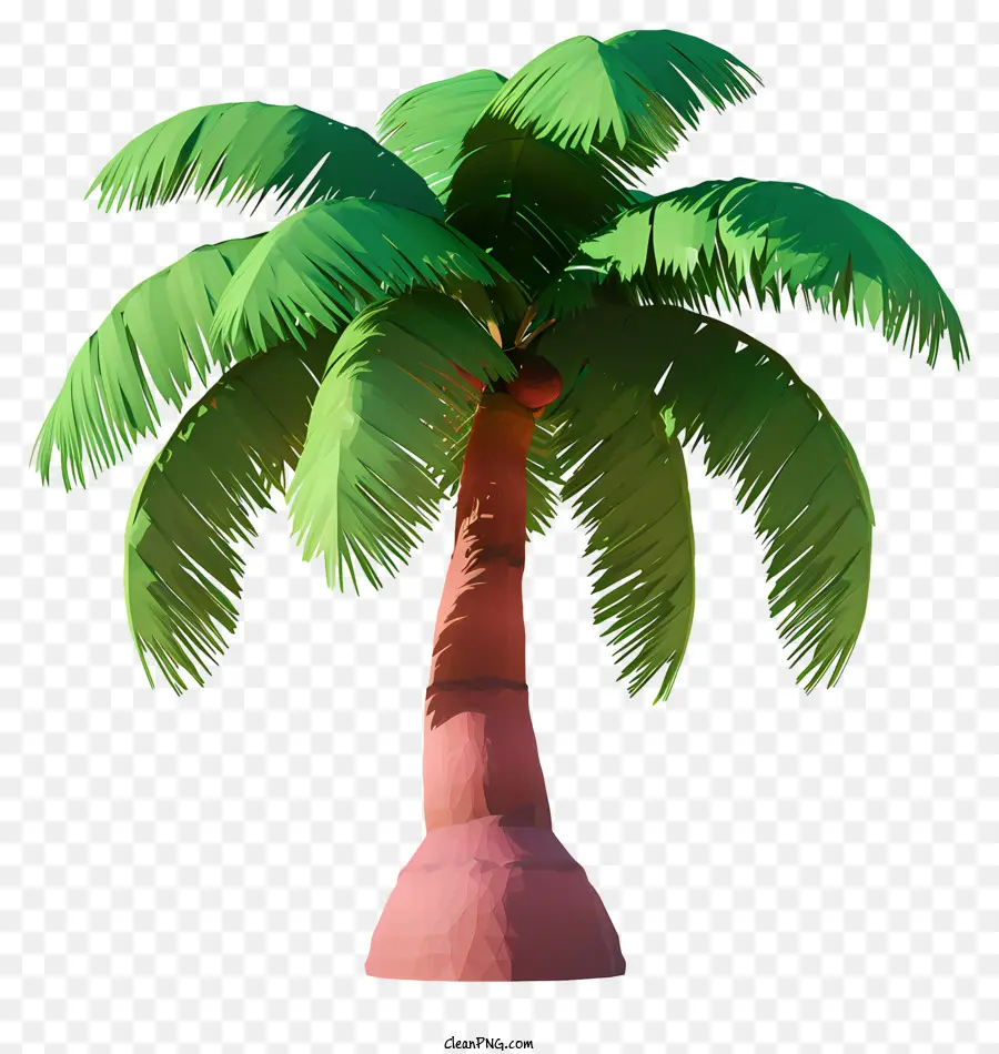 Кокосовое дерево реалистичного стиля，пальму PNG