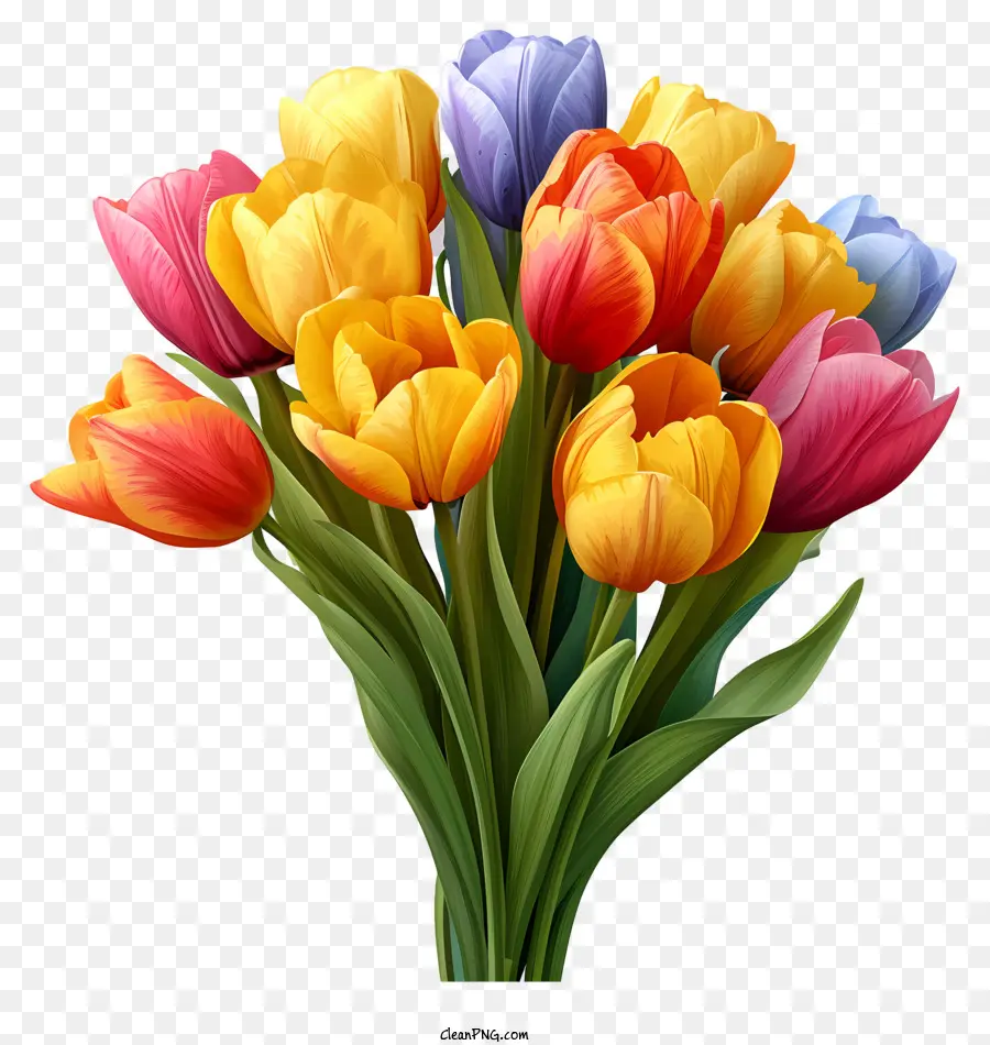 разноцветный букет Tulips，тюльпаны PNG