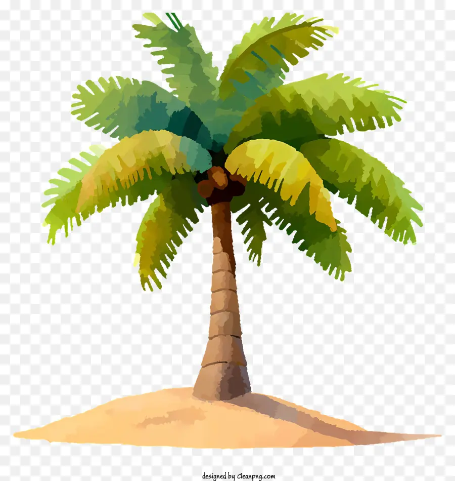 акварель кокосовое дерево，пальму PNG