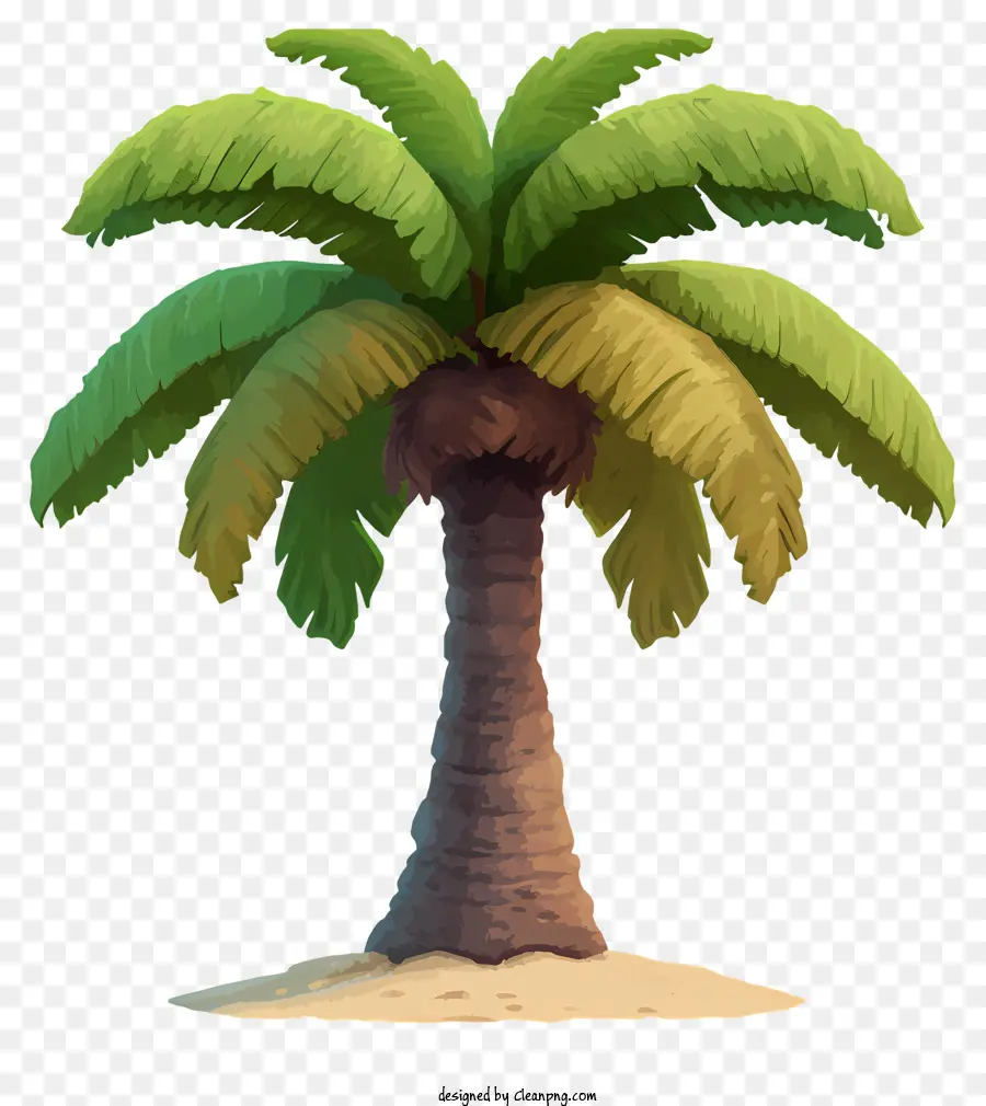 Кокосовое дерево реалистичного стиля，пальму PNG