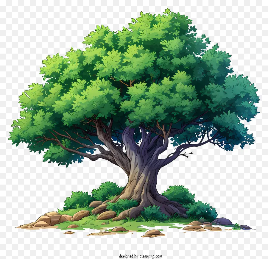 Плоское большое дерево，Oak Tree PNG