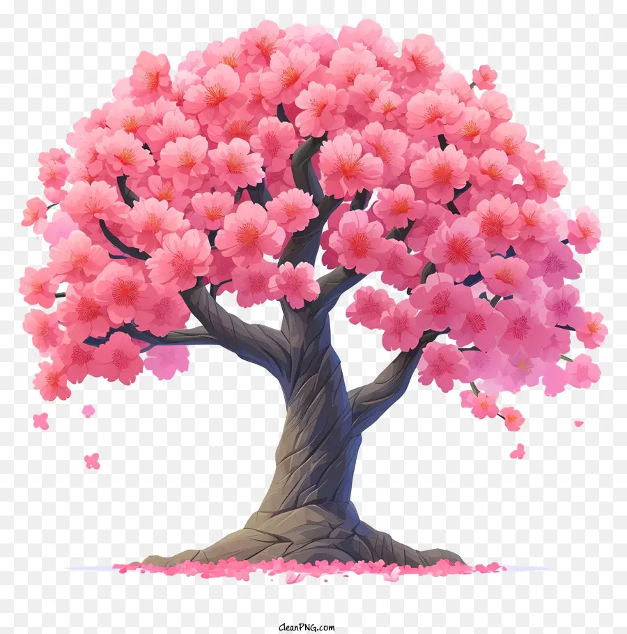 плоское вишневое дерево，розовое дерево PNG