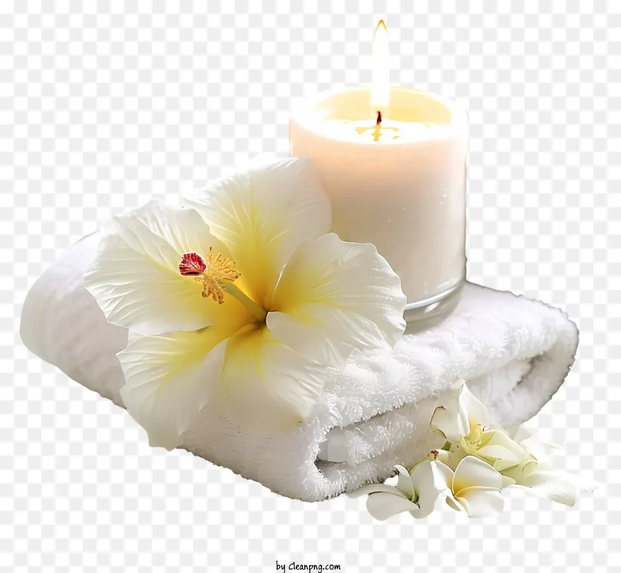 спа，свеча и цветок PNG