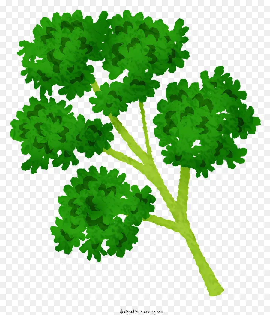 зеленое дерево，листья PNG