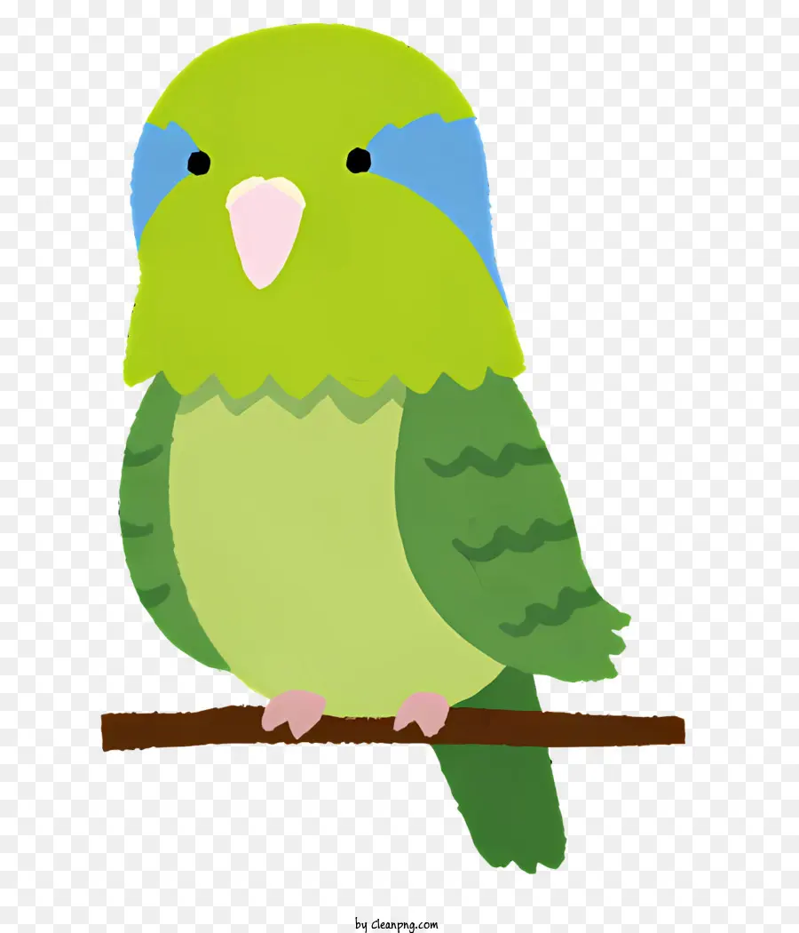 Птица，зеленая птица PNG