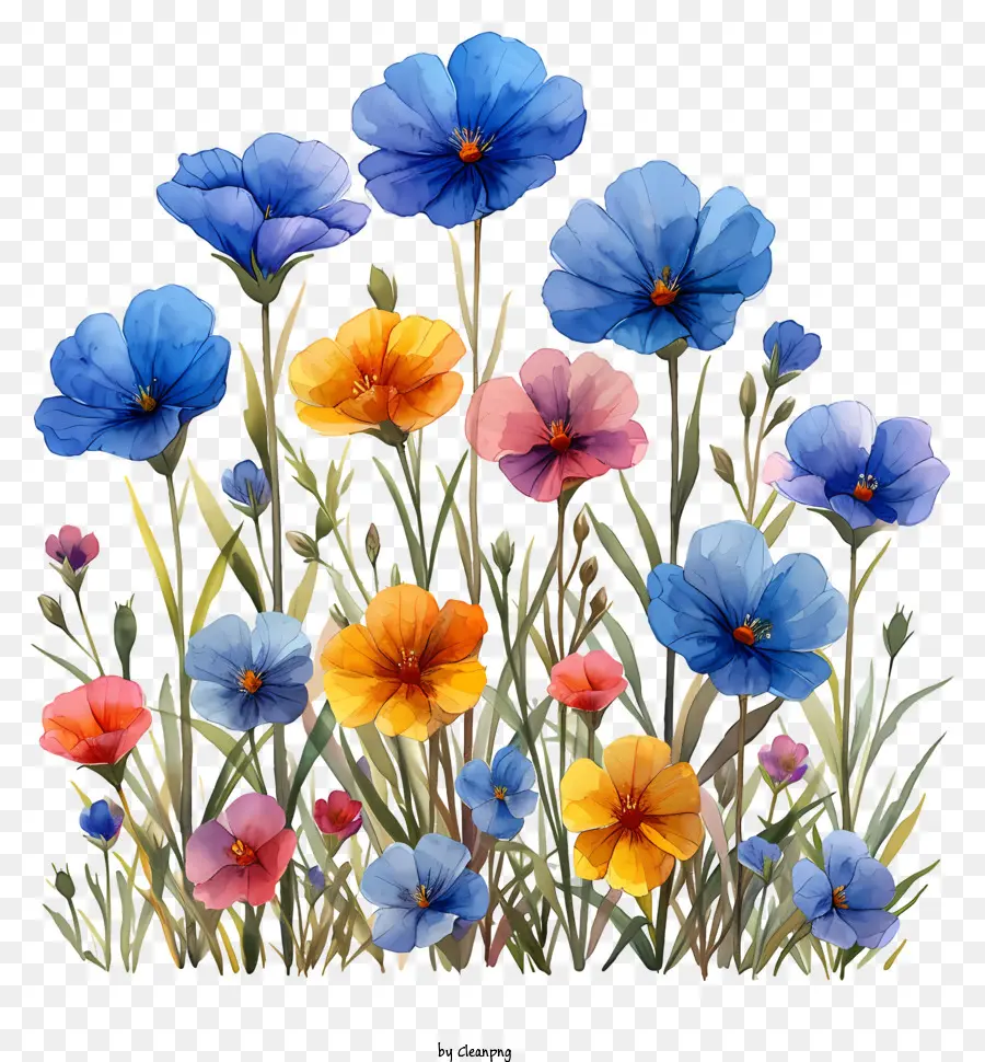 Цветочный рисунок фон，полевые цветы PNG