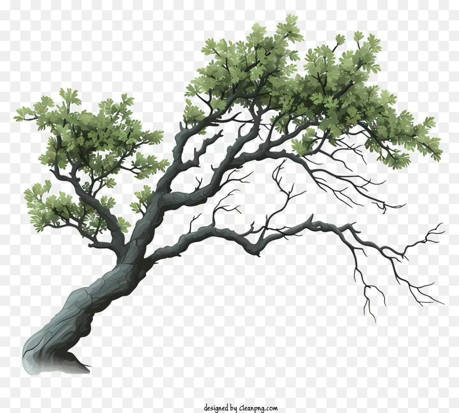 ветвь дерева в стиле каракули，Дерево PNG
