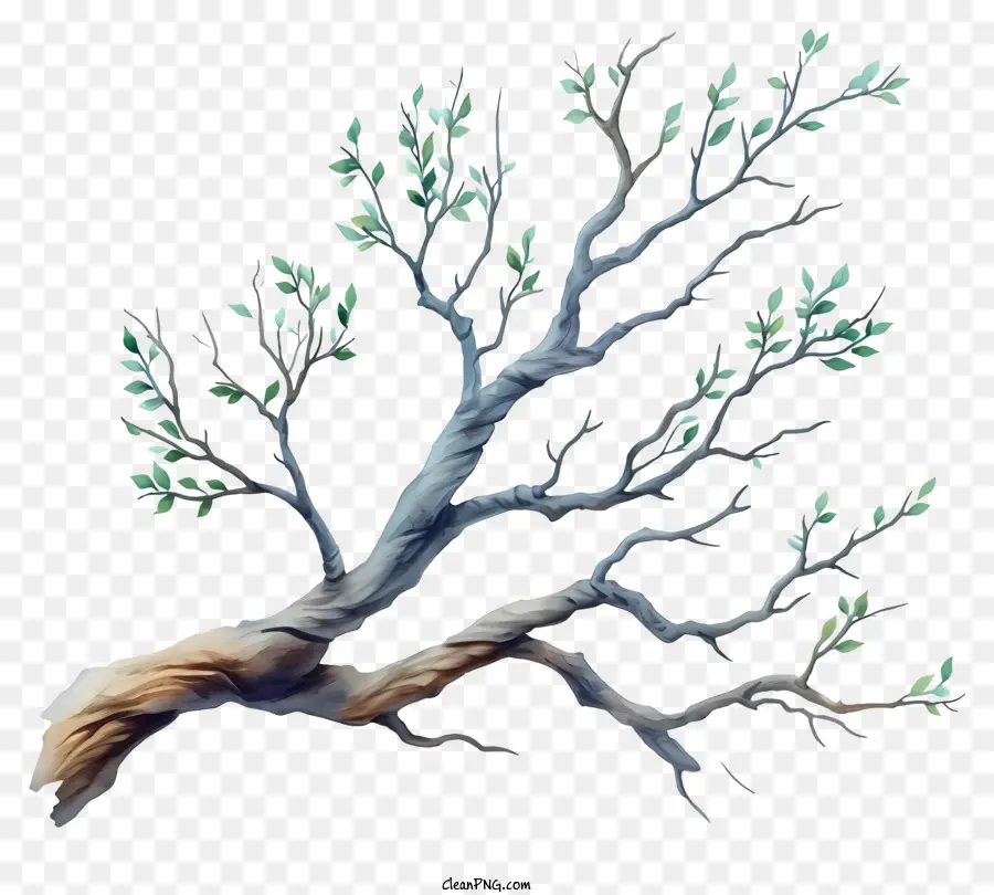 Пастельная ветвь дерева，ветка дерева PNG
