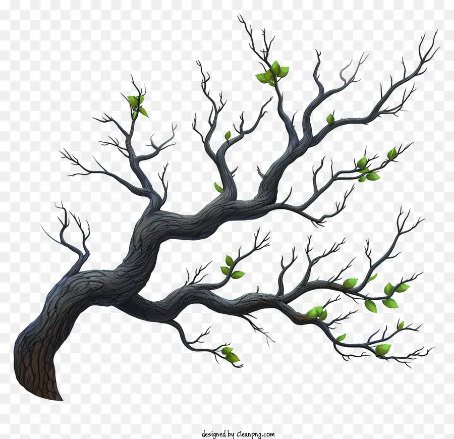 Плоская ветвь дерева，ветка дерева PNG