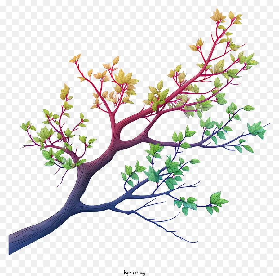 Пастельная ветвь дерева，красочное дерево PNG