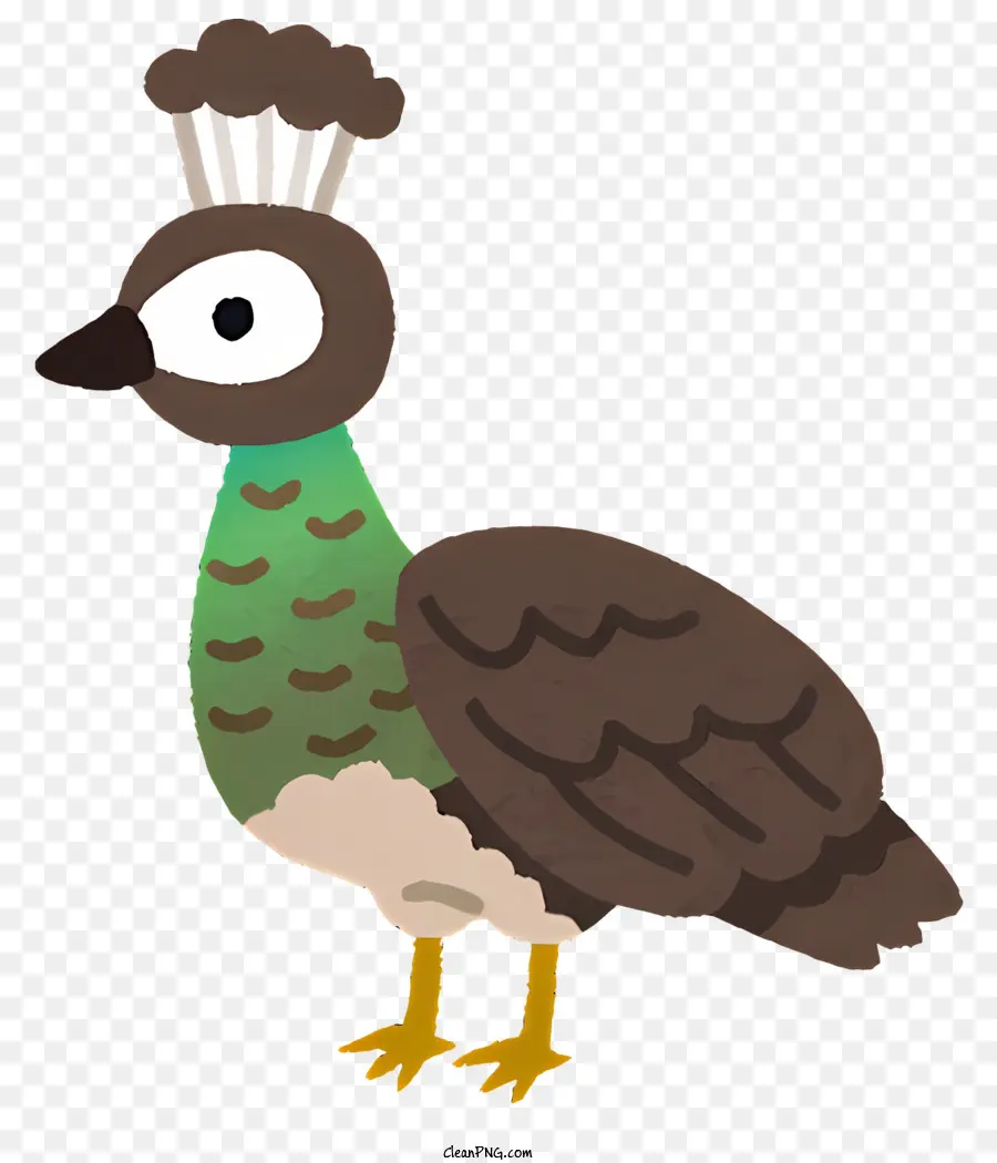 птица，коронованная птица PNG