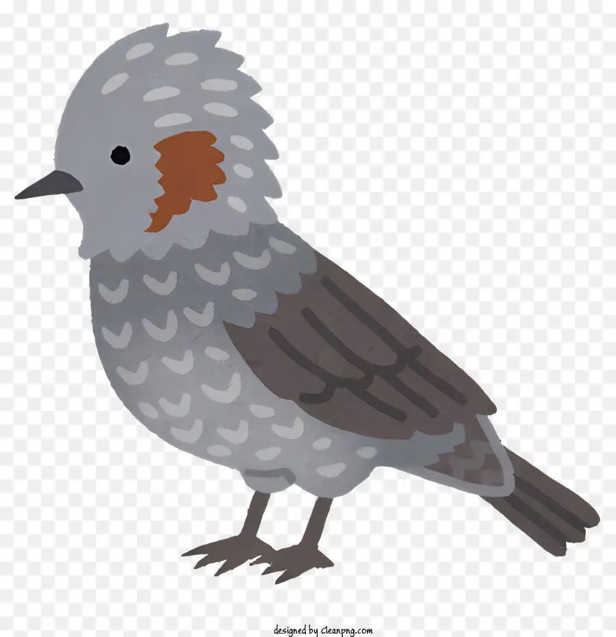Птица，мультфильм птица PNG