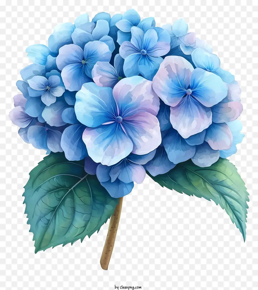 Пастель Горджено цветок，Синий цветок гидранта PNG