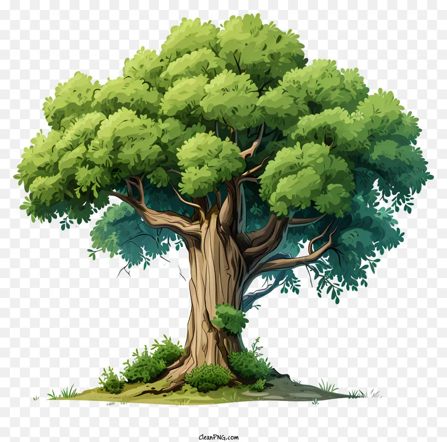 Большое дерево в стиле рисования，Дерево PNG