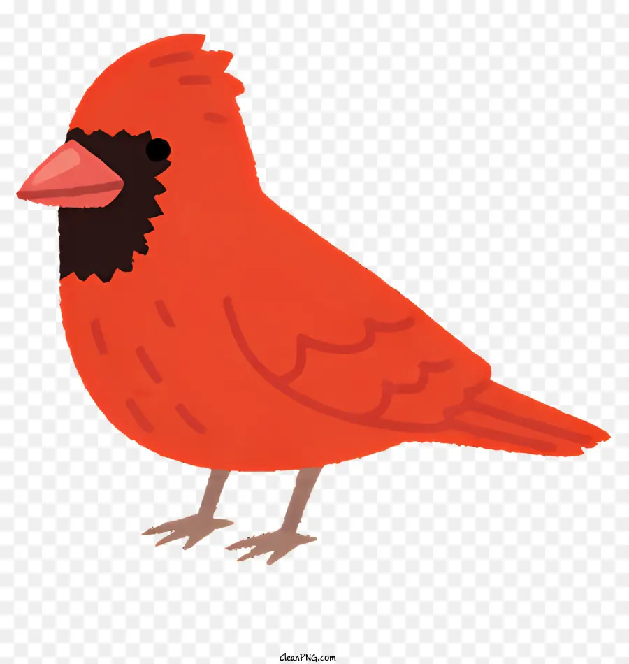 Птица，маленькая красная птица PNG