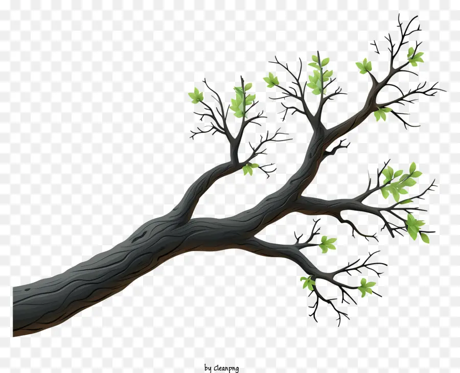ветвь дерева в стиле эскиза，Дерево PNG