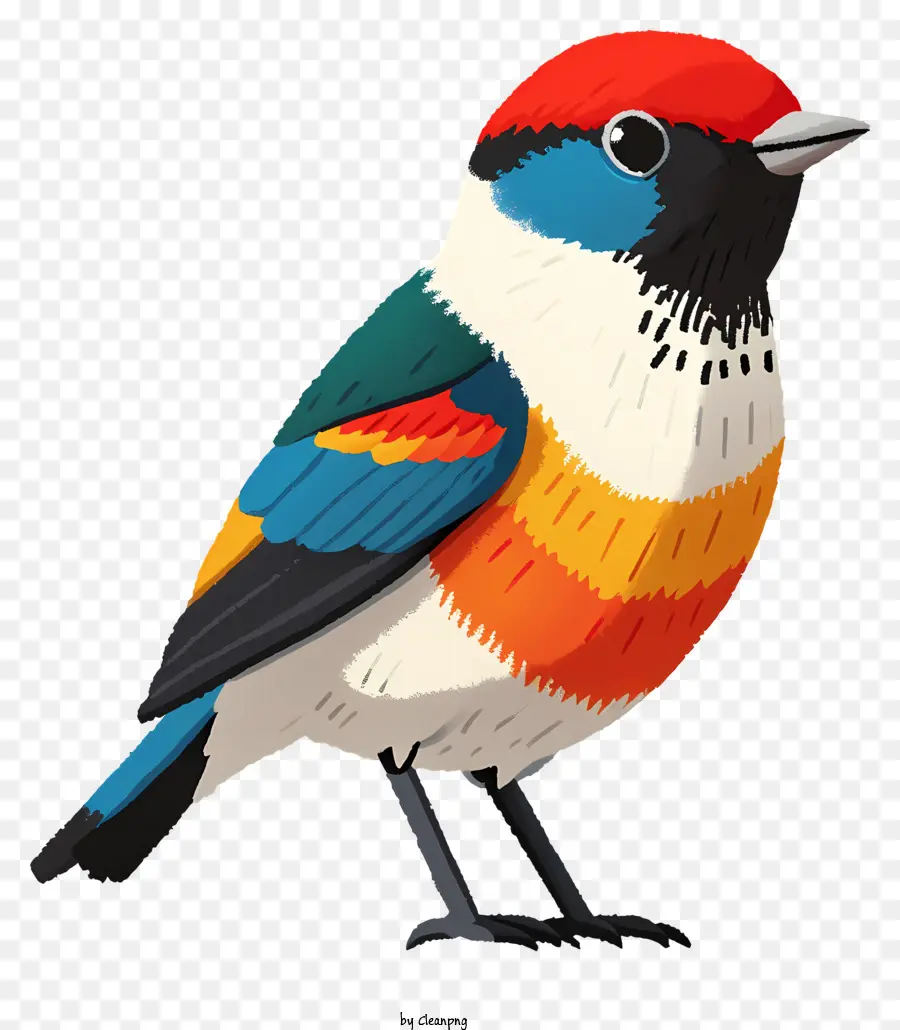 Птица плоского стиля，мультфильм птица PNG