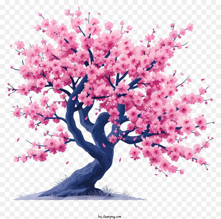 пастельное вишневое дерево，вишни PNG