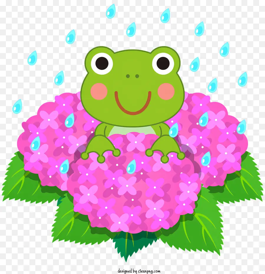 дождь цветы，Лягушка PNG