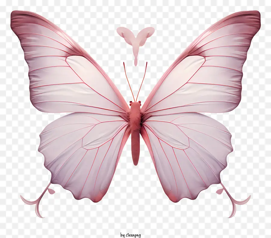 Бабочка，розовая бабочка PNG
