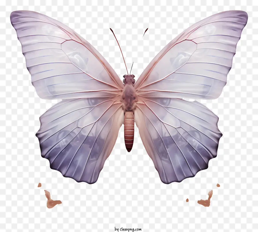 Бабочка，фиолетовый бабочка PNG