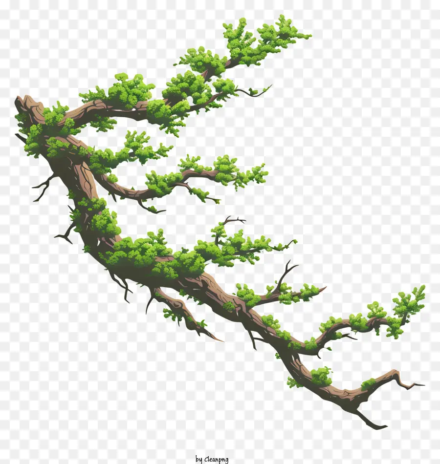 ветвь и мх，ветка дерева PNG