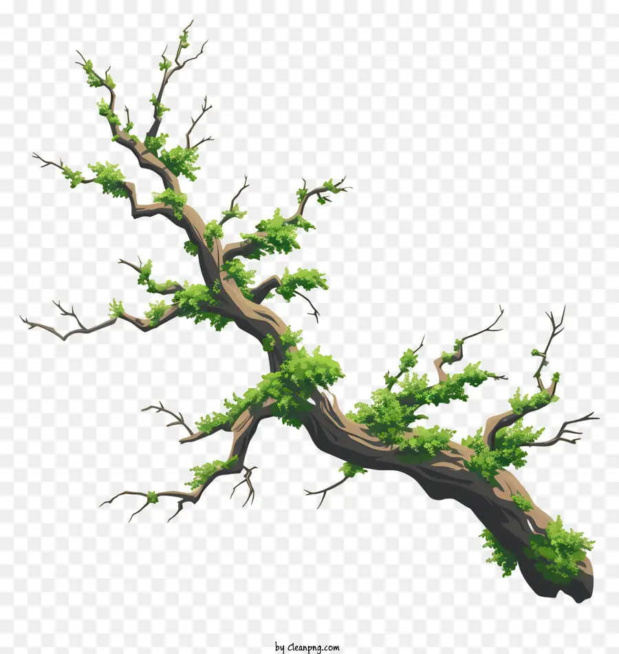 ветвь и мх，мертвое дерево PNG