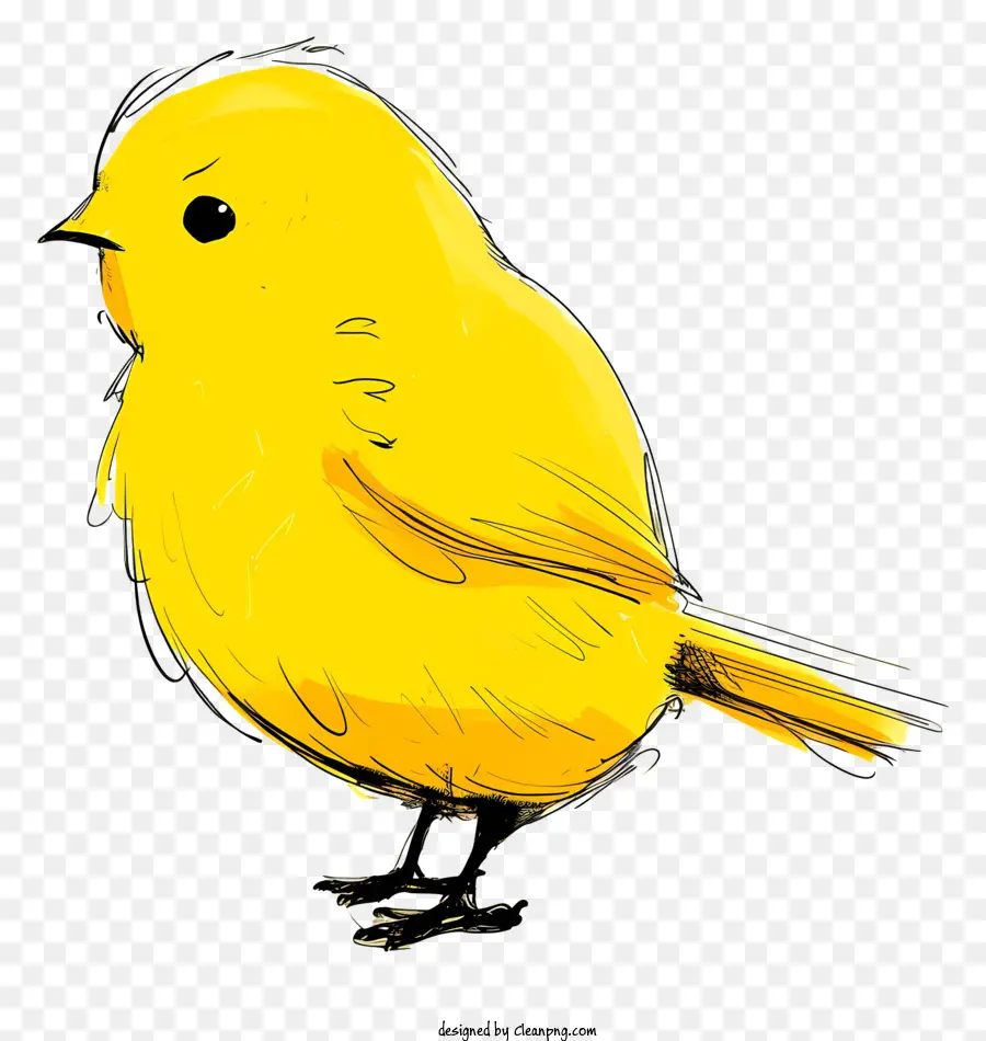 мультфильм птица，желтая птица PNG