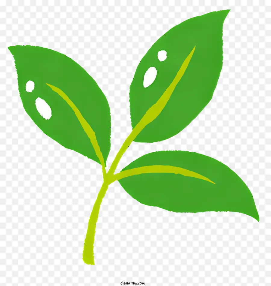 зеленый лист，Завод PNG