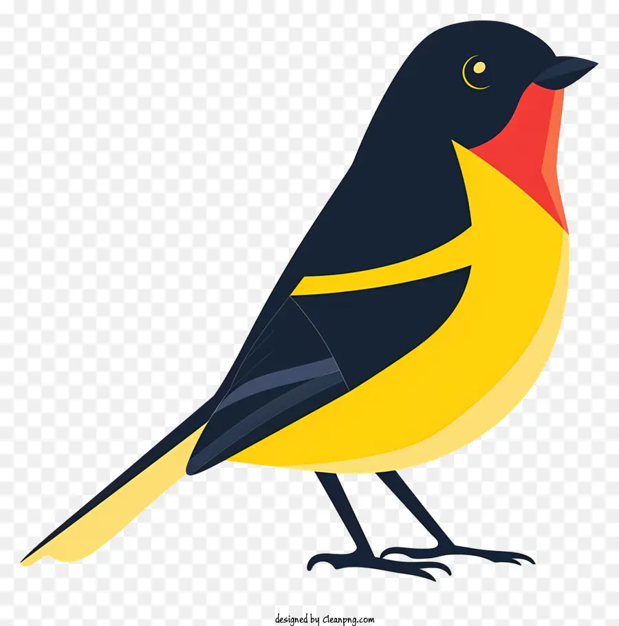 мультфильм птица，милые птицы PNG