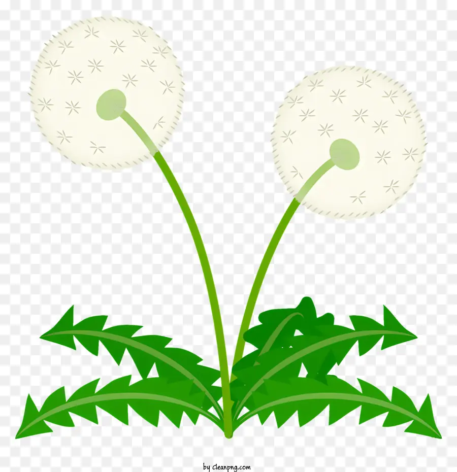 одуванчик，Одушенное растение PNG