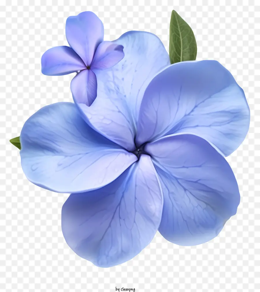 Элегантная икона цветочника Periwinkle，Голубой цветок PNG