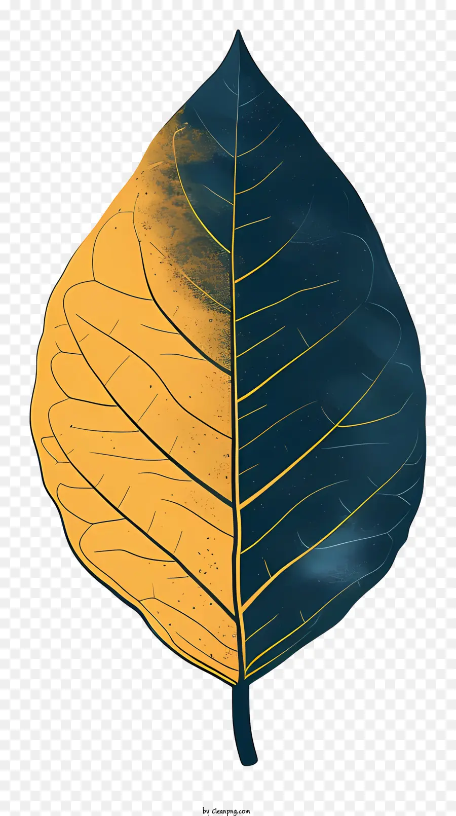 Лист，желтый и синий лист PNG