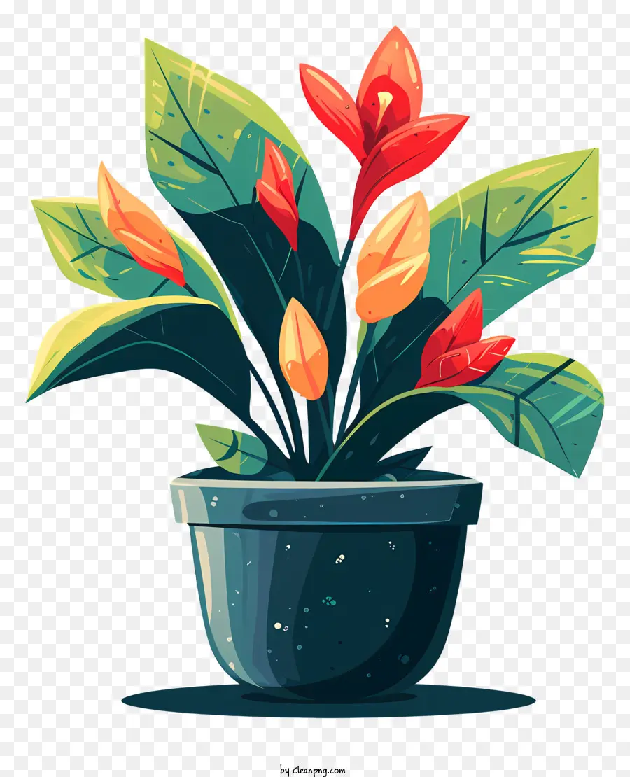 современный цветочный горшок，Tropical Plant PNG