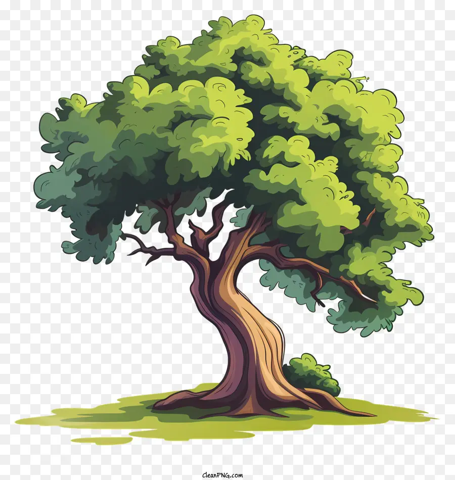 Дерево，зеленое поле PNG