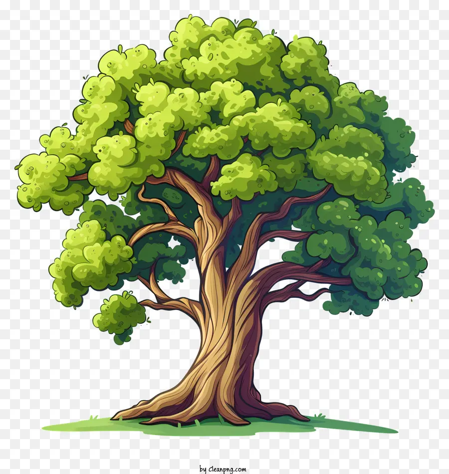 Дерево，большое дерево PNG