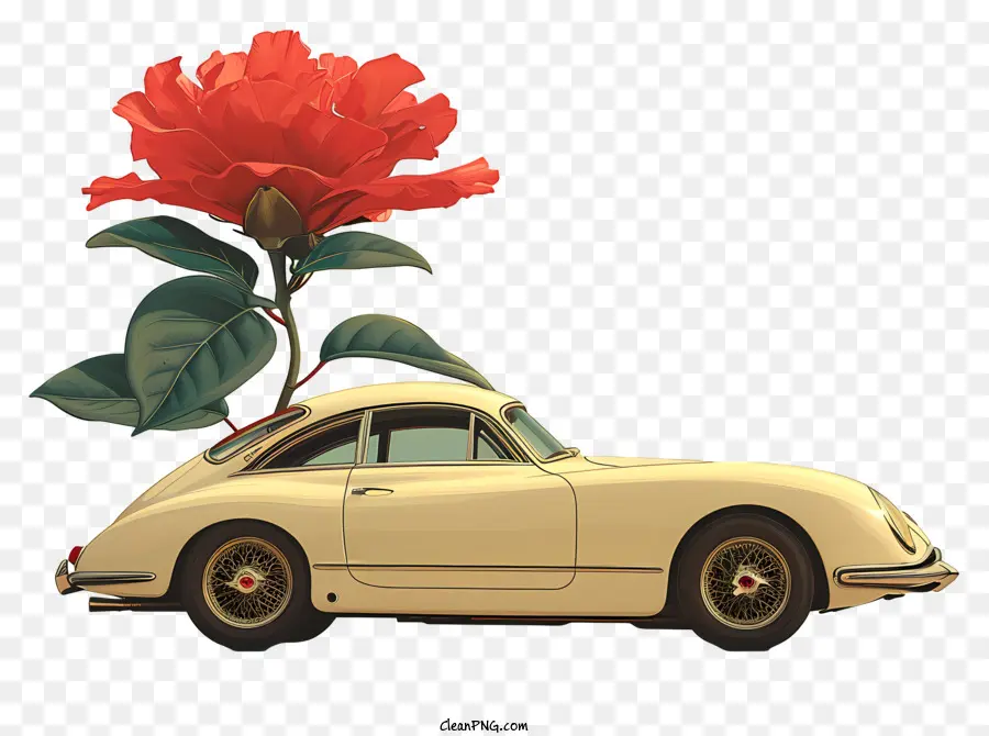 White Car，красная роза PNG