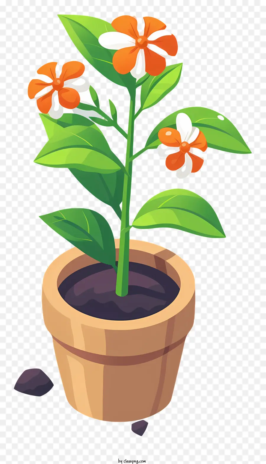 Посадить день цветочного дня，цветочный горшок PNG
