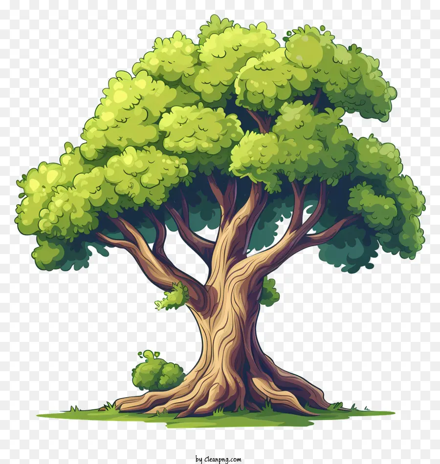 Дерево，лес PNG