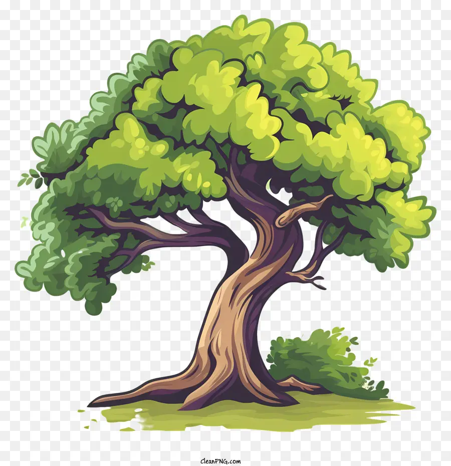 Дерево，дерево мультфильм PNG