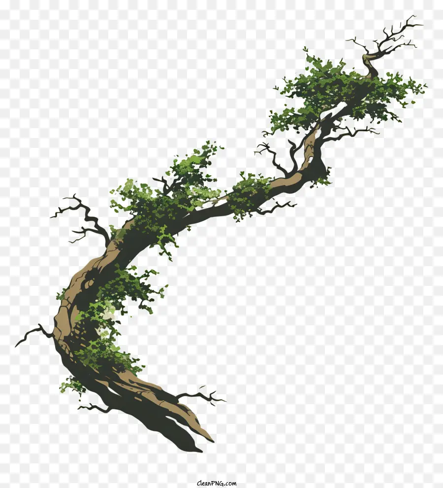 ветвь и мх，иллюстрация дерево PNG