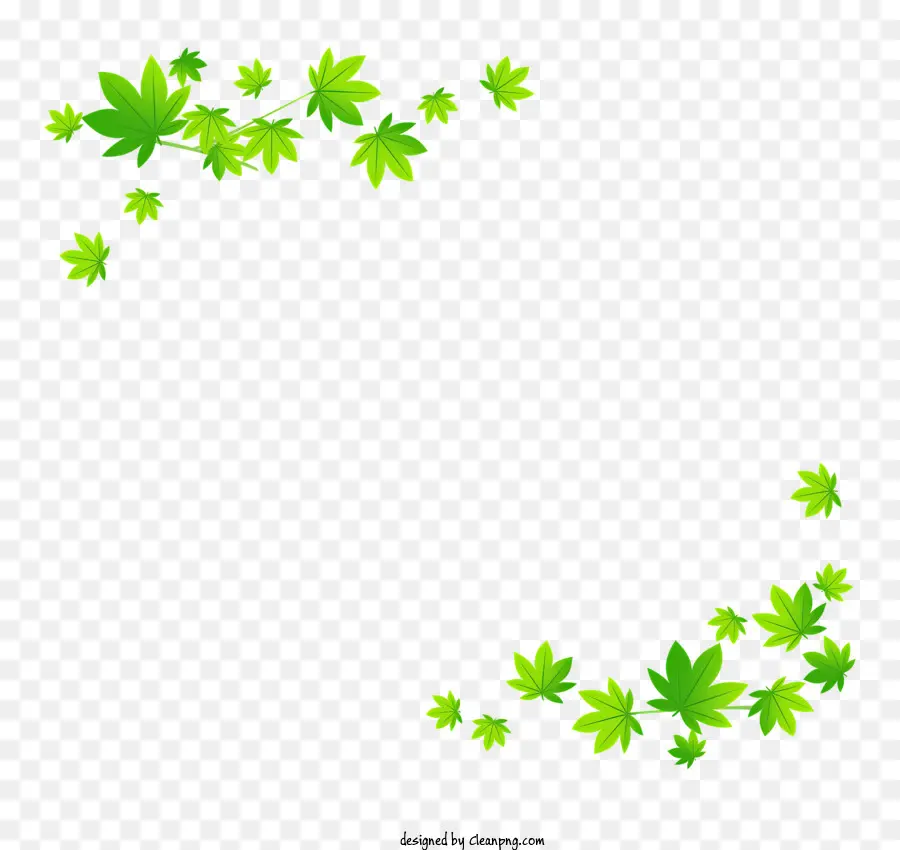 рама зеленого клена，зеленые листья PNG