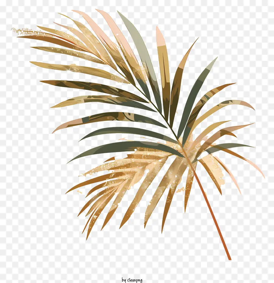 пальмовые ветви，пальмовый лист PNG