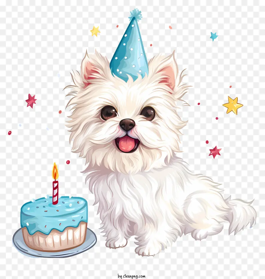 День рождения домашнего животного，милая собака PNG
