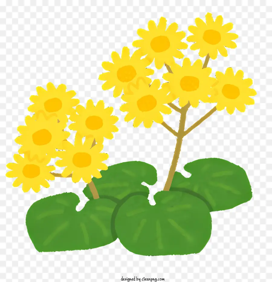 цветок，Ярко желтые цветы PNG